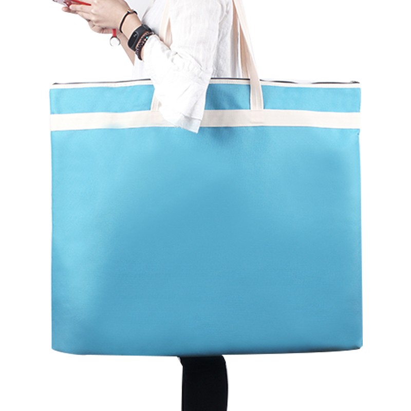 Large A1/A2 Folder Organizer B - Portfolio Folder Zip 评论和价格